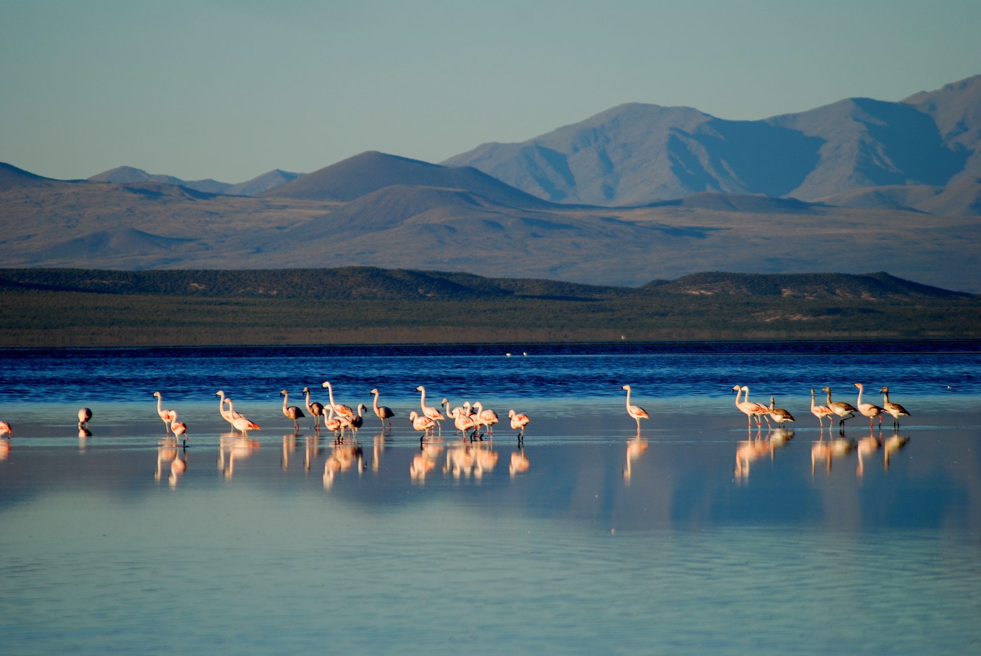 Verano 2024: descubre un paraíso natural en Mendoza