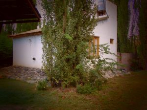 LOS ABEDULES BUNGALOW