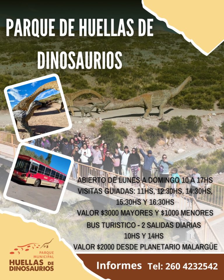 WhatsApp Image 2025-11-04 at 12.12