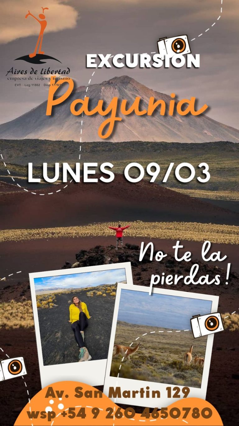 09 marzo payunia aires