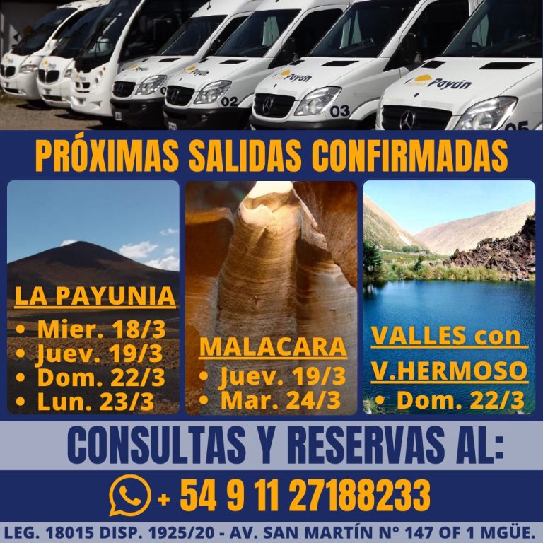 WhatsApp Image 2026-03-16 at 13.37