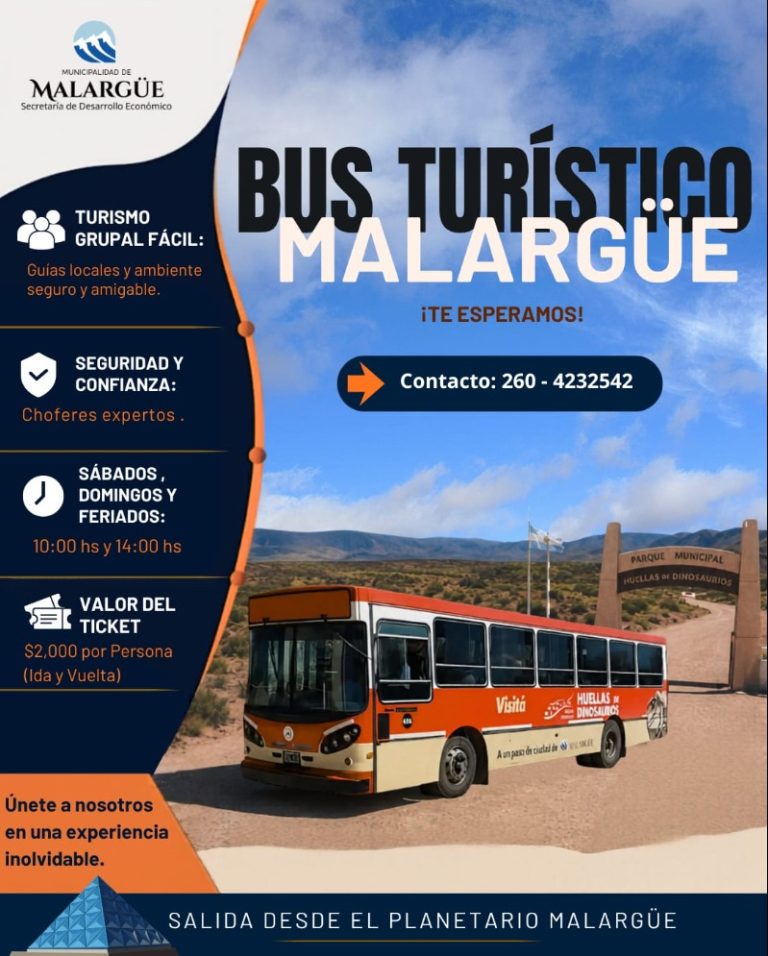bus turistico